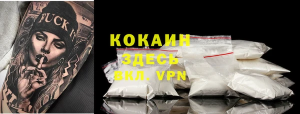 ешки Вяземский