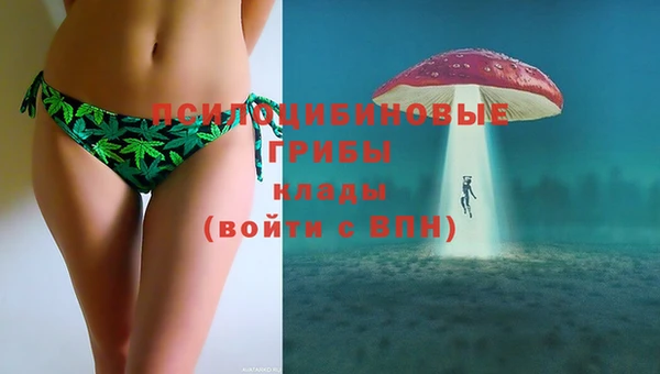 прущая мука Вязьма