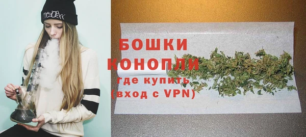 ешки Вяземский