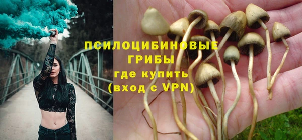 прущая мука Вязьма