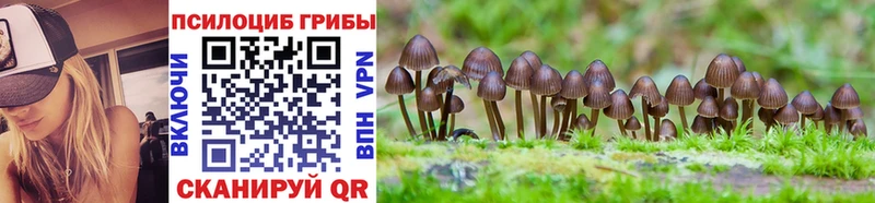 Псилоцибиновые грибы мицелий Купить закладки Бронницы